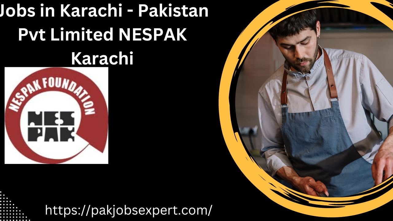 Jobs in Karachi - Pakistan Pvt Limited NESPAK Karachi