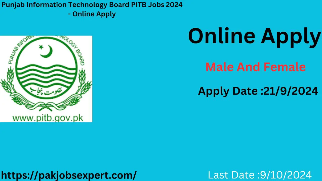 Punjab Information Technology Board PITB Jobs 2024 - Online Apply