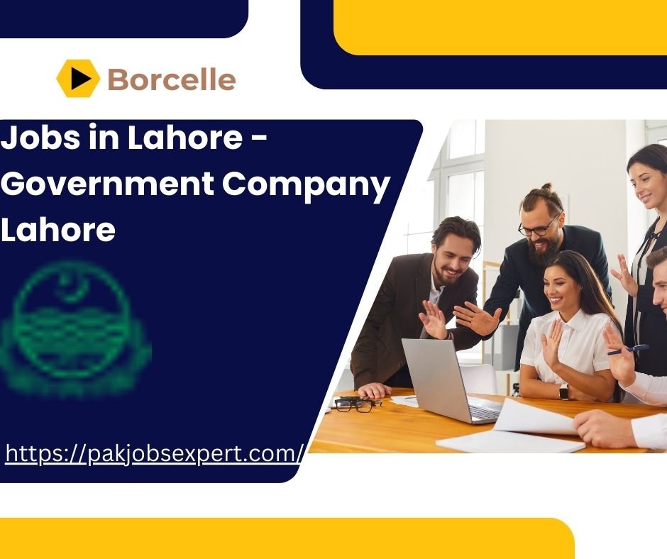 Jobs in Lahore - Government Company Lahore